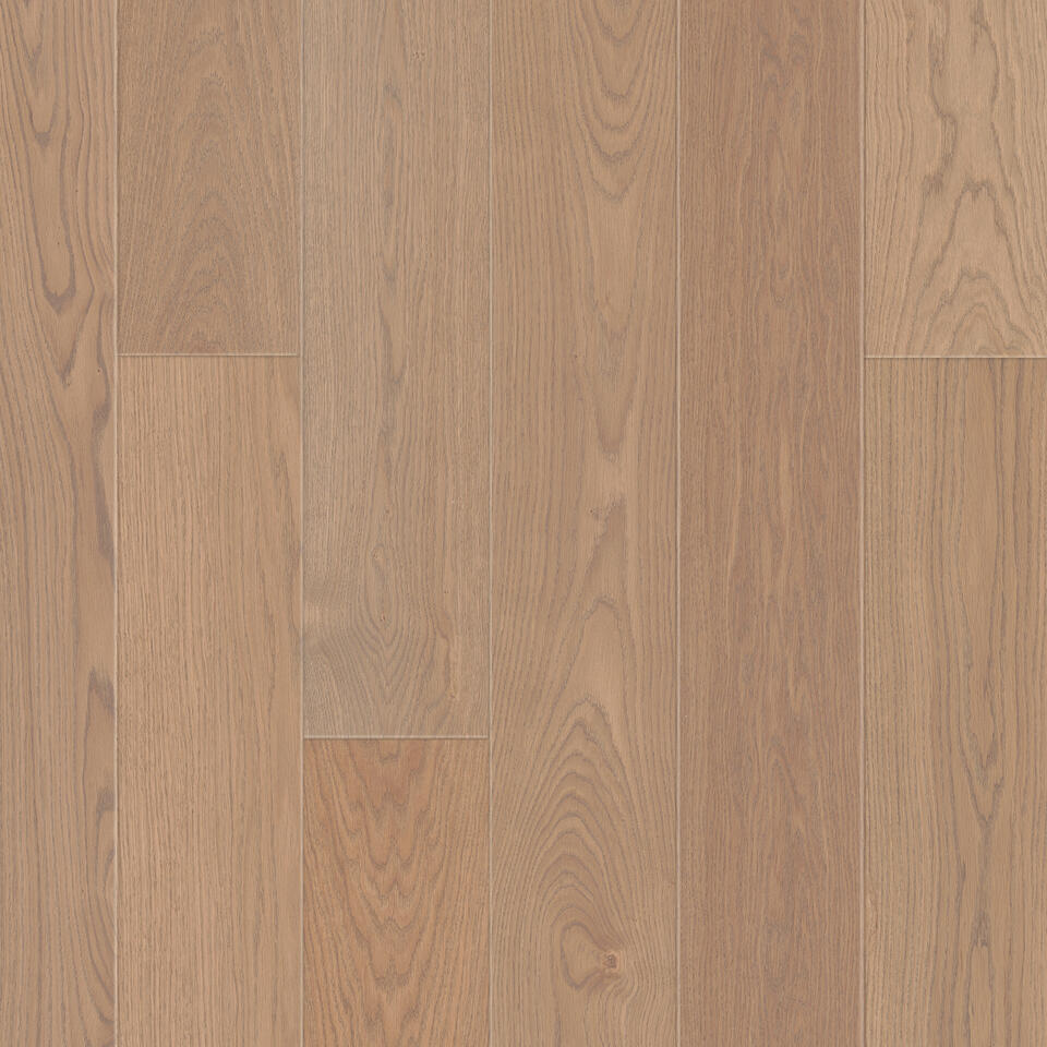 TH_Privilege_Waltz_Oak Misty Brown