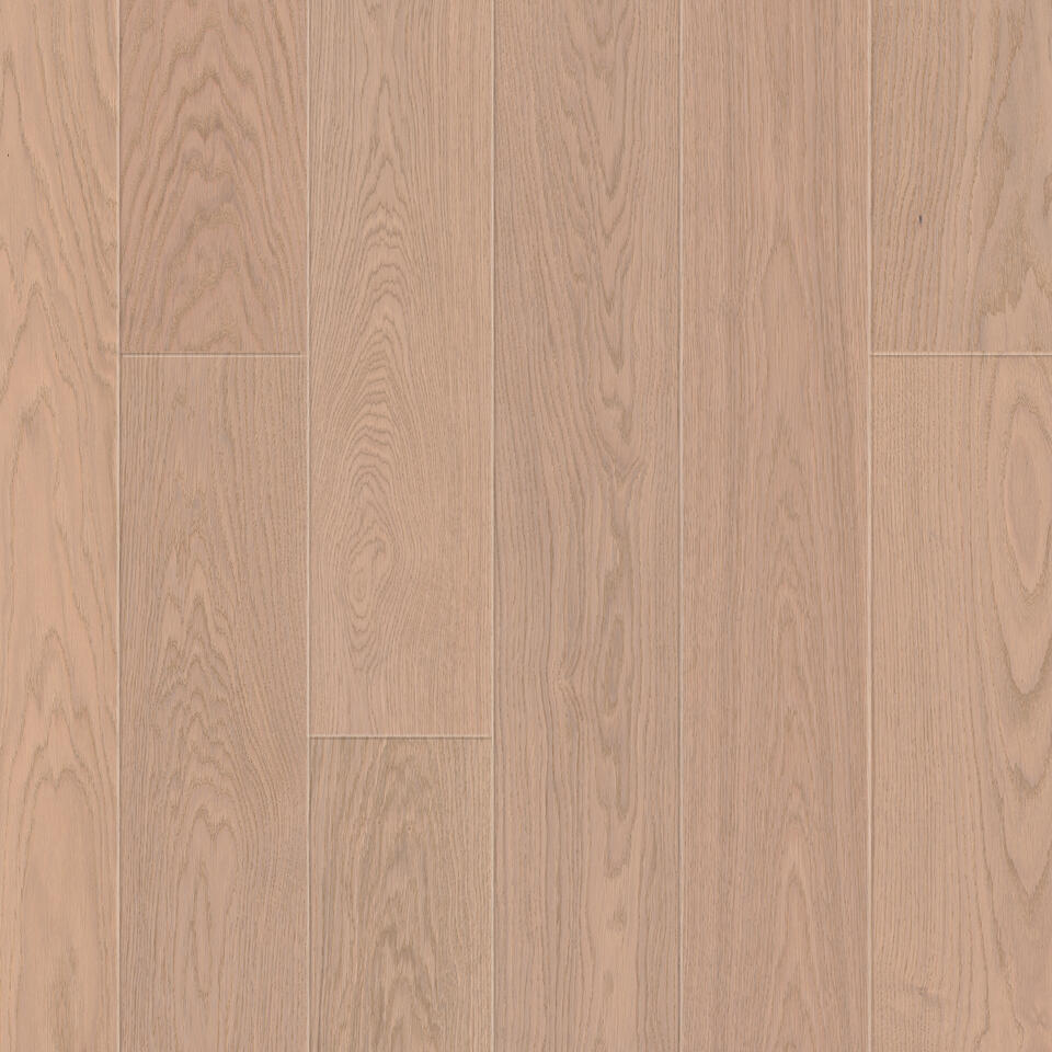 TH_Privilege_Waltz_Oak Misty Grey